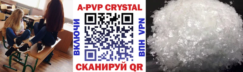 A PVP СК КРИС Рубцовск