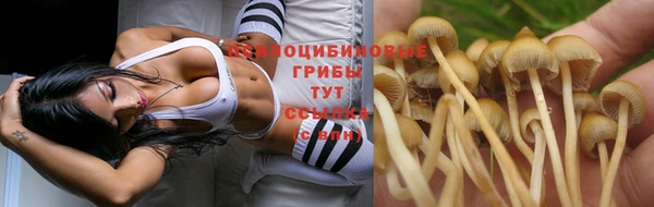 винт Армянск