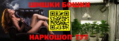 spice Баксан