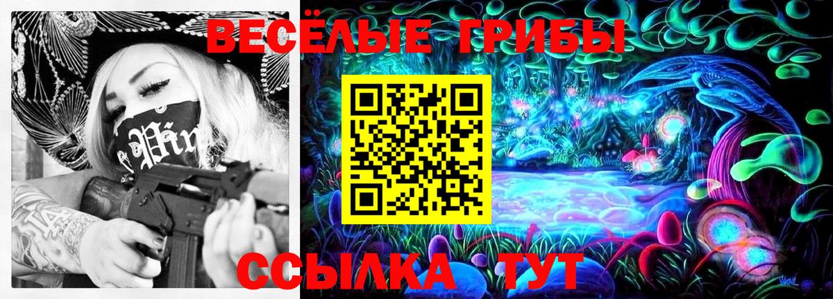 Псилоцибиновые грибы Psilocybine cubensis Рубцовск